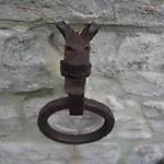 Apartmán Domus Calzolari
