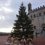 Domus Calzolari Gubbio