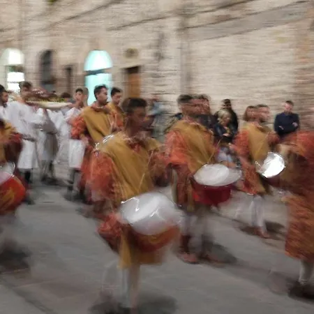 Domus Calzolari 古比奥