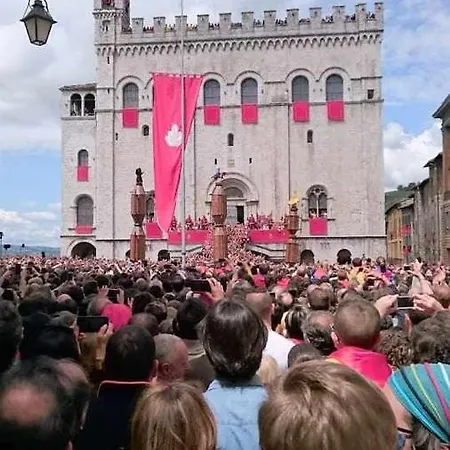 Domus Calzolari Apartamento