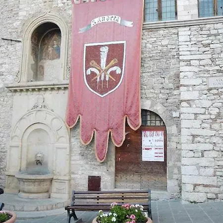 Domus Calzolari *