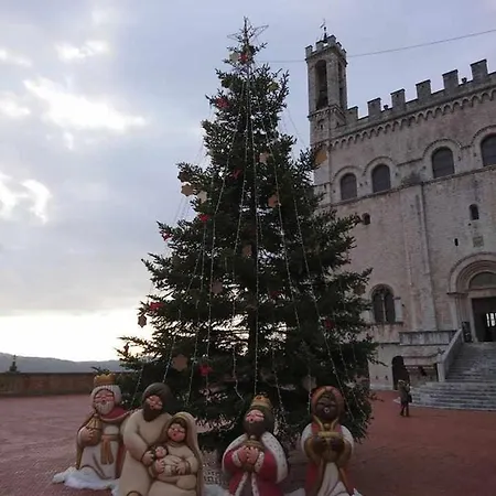 公寓 Domus Calzolari *