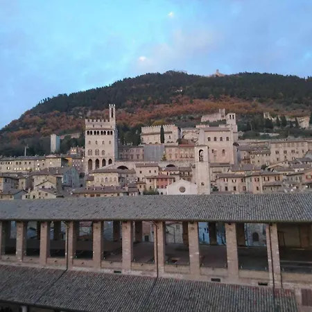 Domus Calzolari * غوبيو
