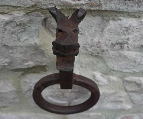 Apartmán Domus Calzolari