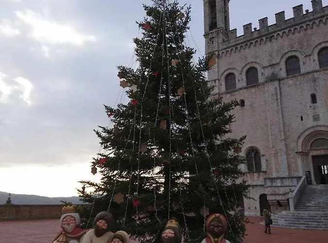 Apartmán Domus Calzolari *